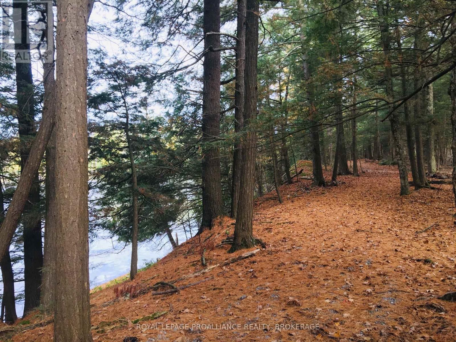 LOT 11 LONG REACH LANE Image 5