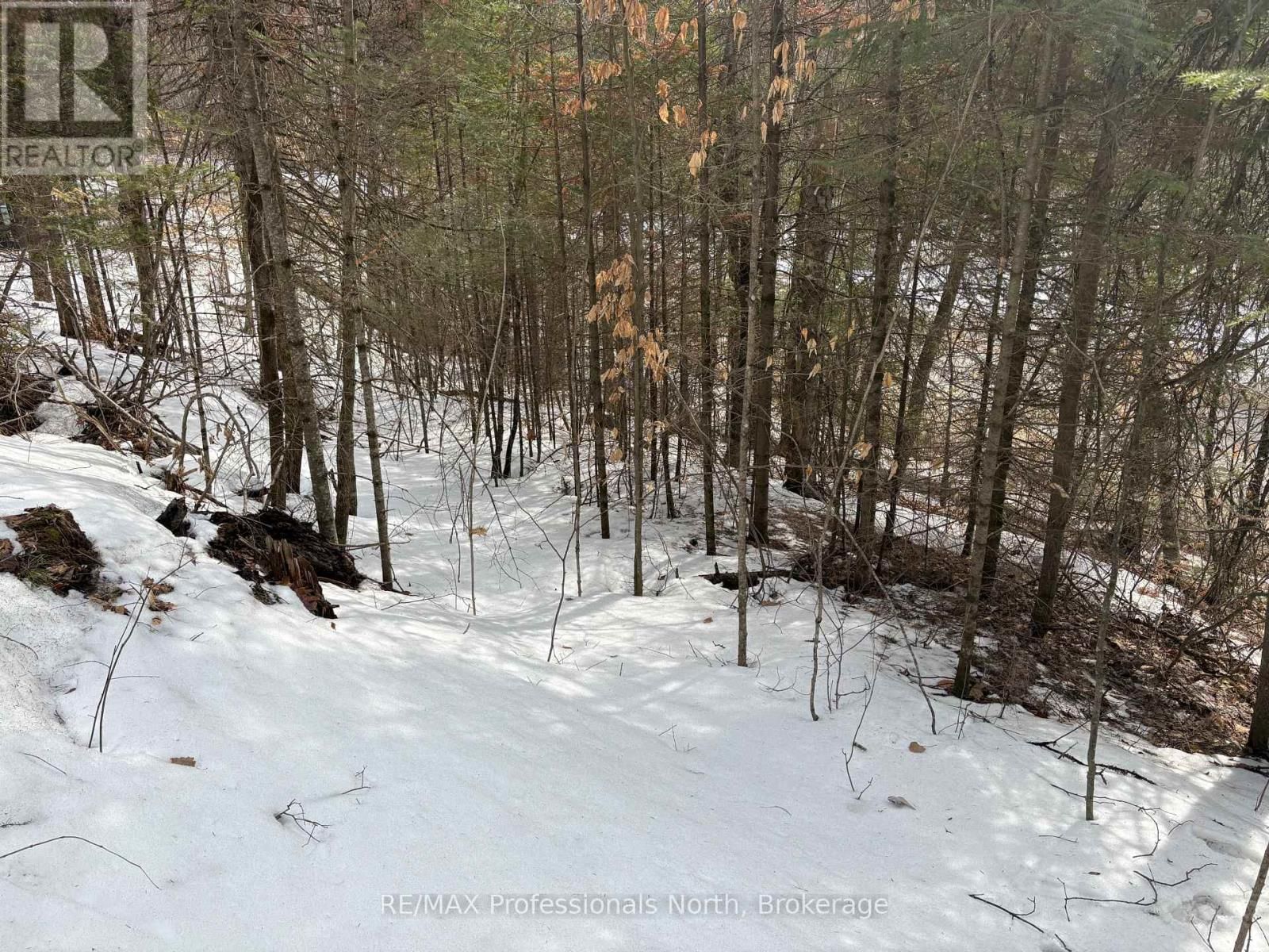 0 TRAPPER'S TRAIL ROAD Image 11