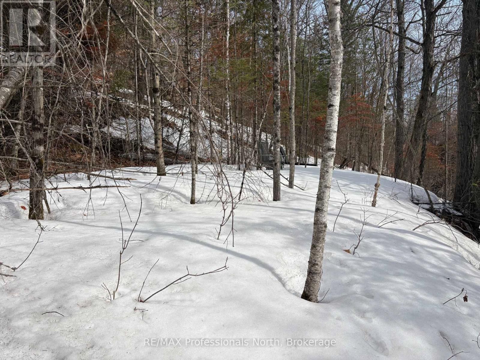 0 TRAPPER'S TRAIL ROAD Image 12