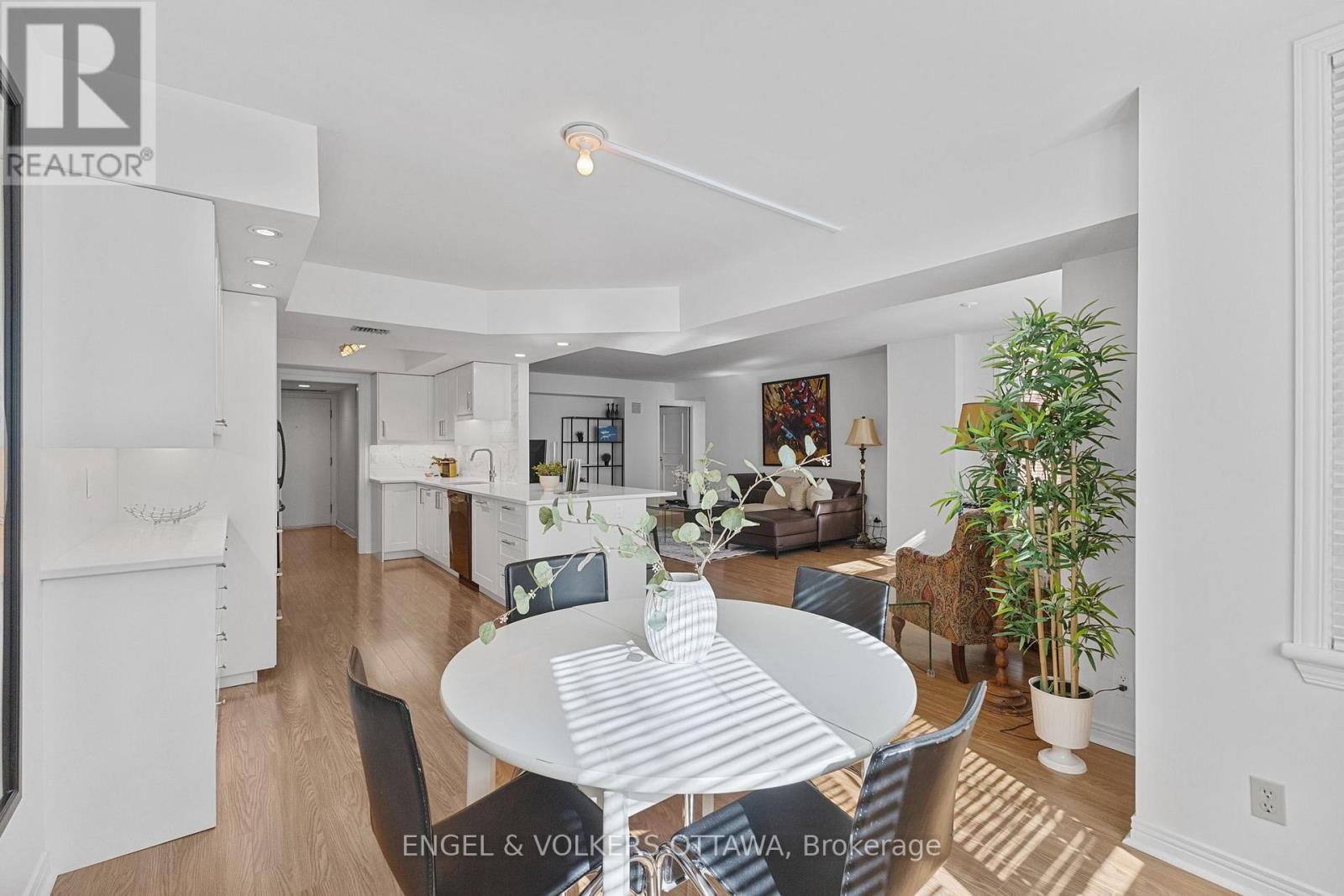 206 - 205 SOMERSET STREET WEST Image 12