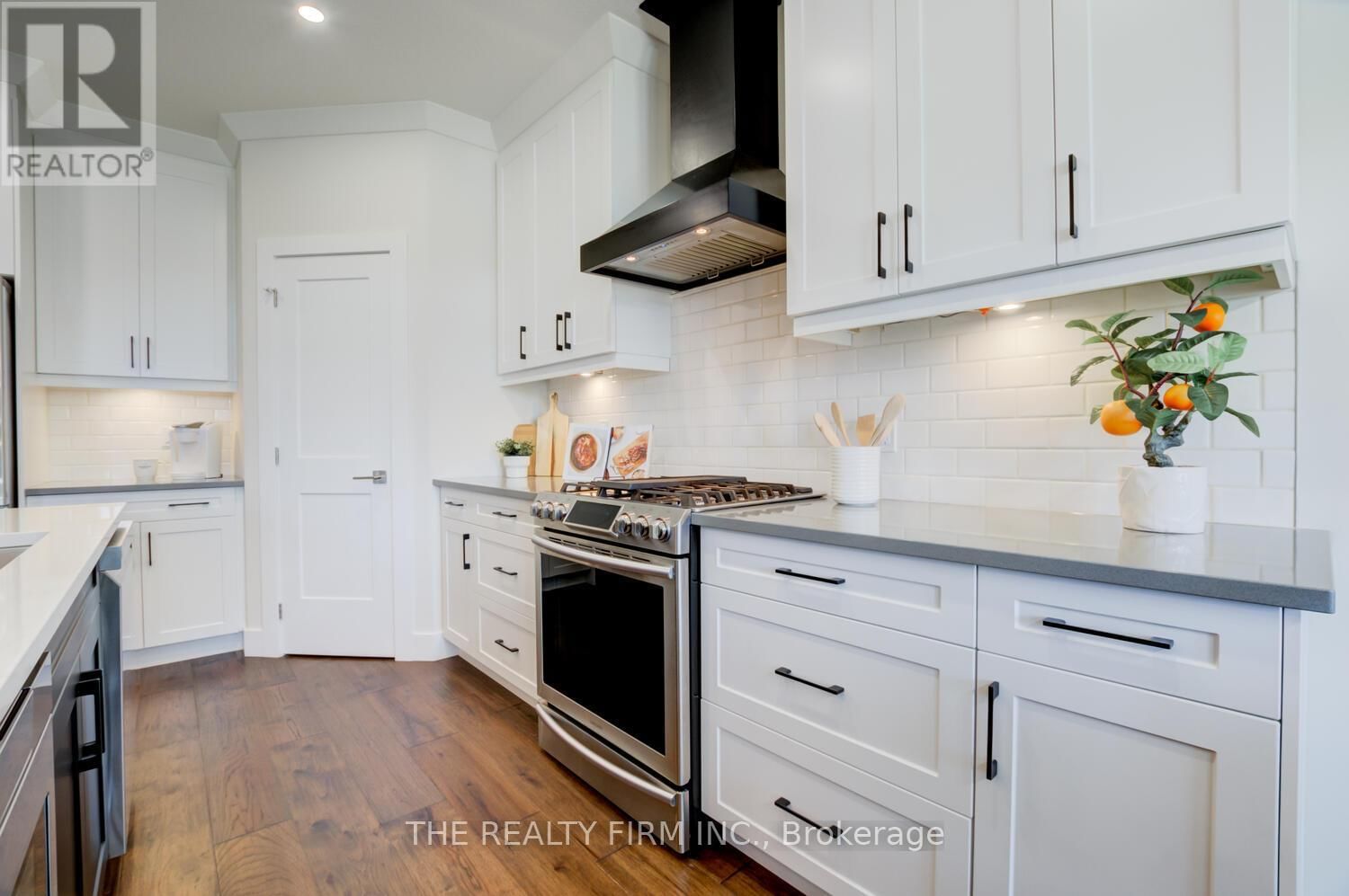 283 ELIZABETH STREET Image 3