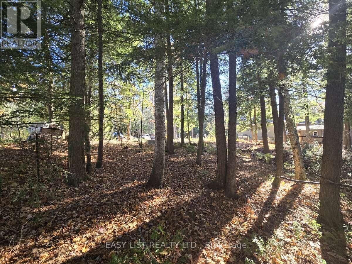 Lot 14 LAIDLAW AVENUE Image 6