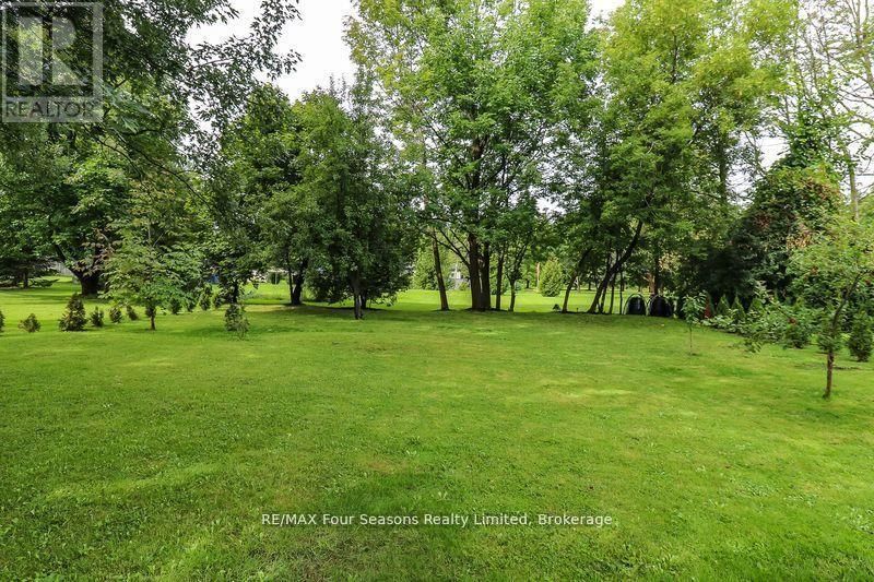 96 LORNE STREET Image 12