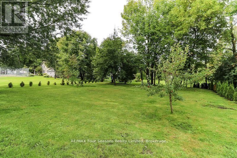 96 LORNE STREET Image 13