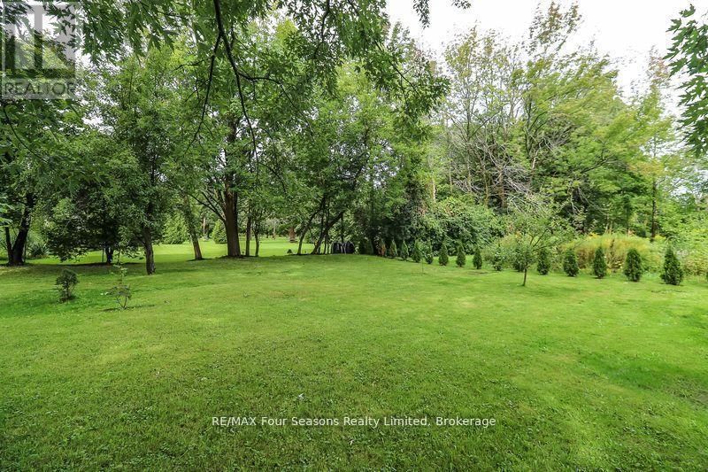 96 LORNE STREET Image 15