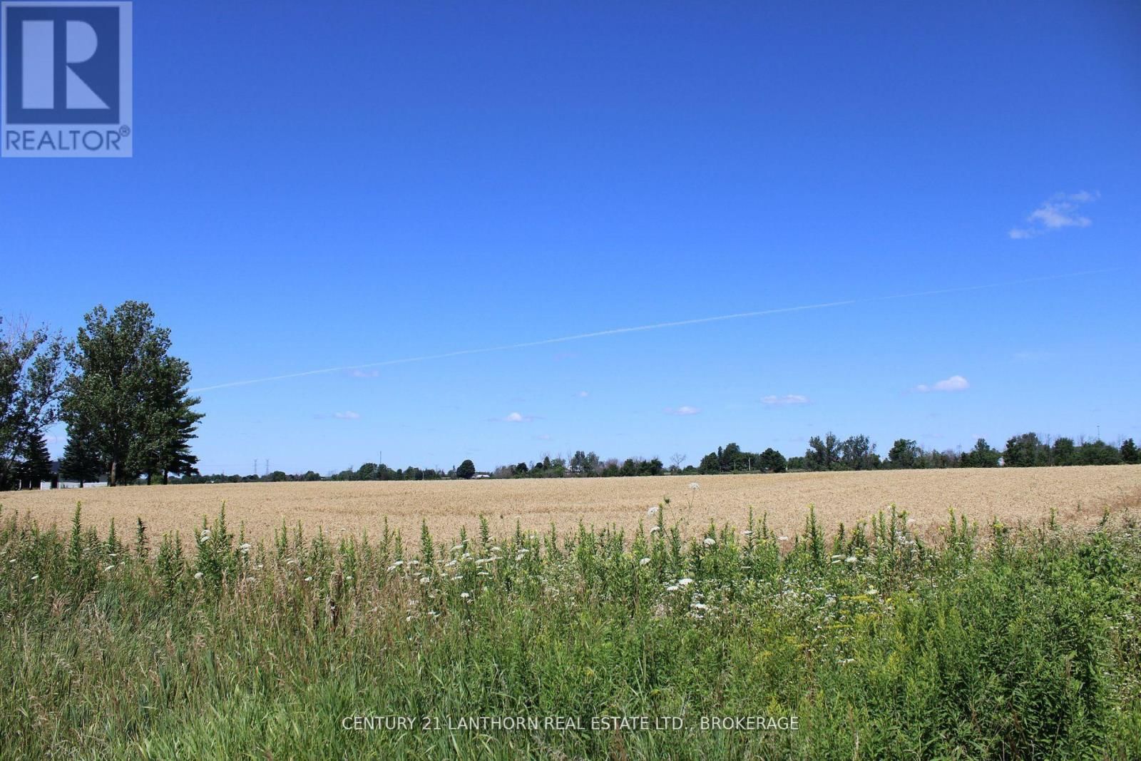 PT LT16 JIM KIMMETT BOULEVARD Image 5