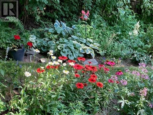 37 ONTARIO STREET Image 41