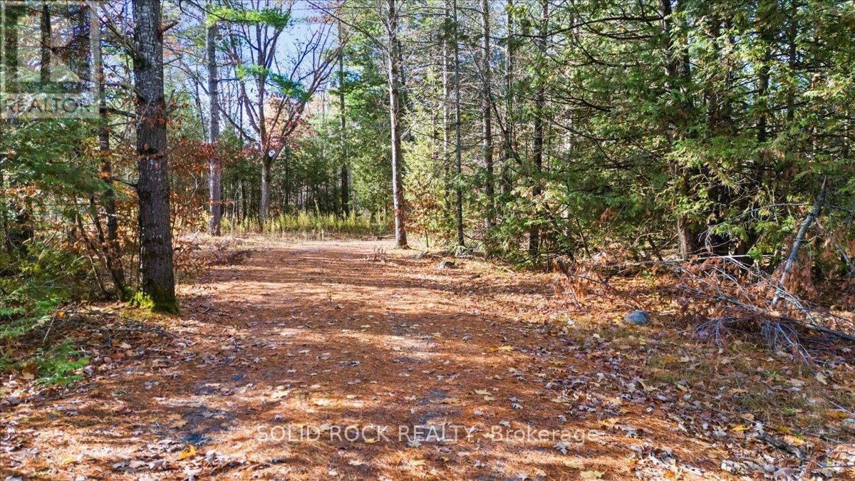 136 GLEN RIDGE ROAD Image 12