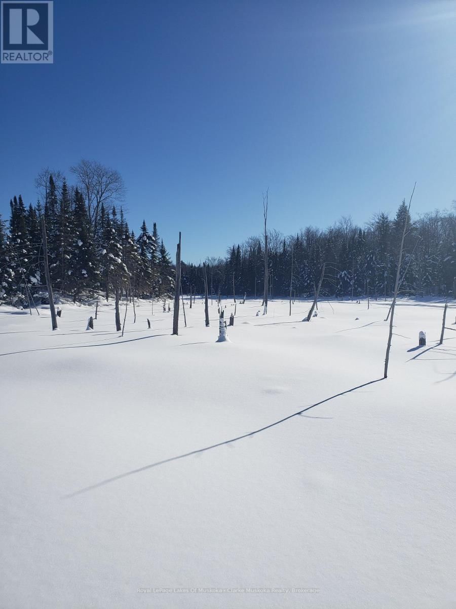 1210 FALKENBURG ROAD Image 30