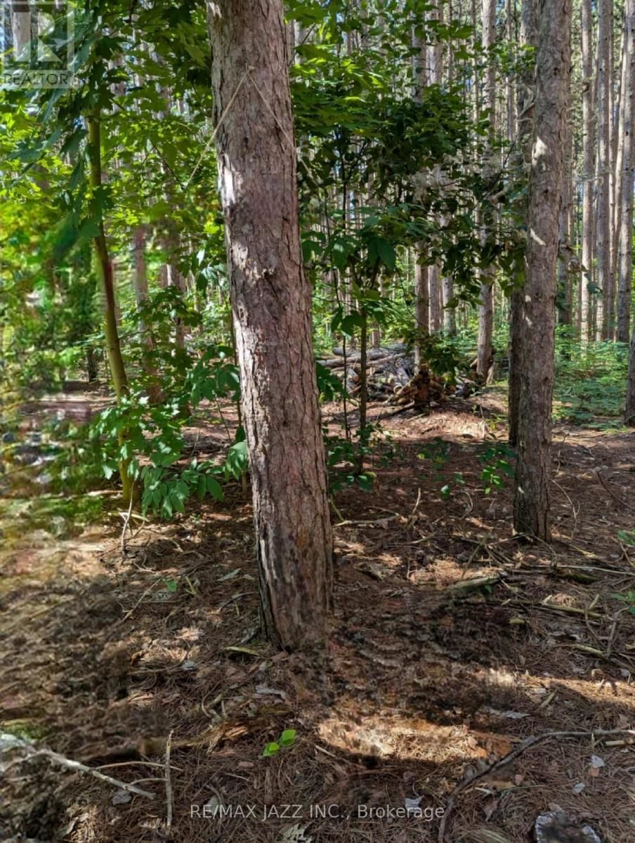 149 WHITES ROAD Image 34