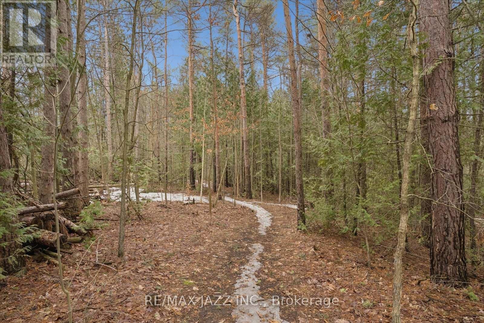 149 WHITES ROAD Image 35