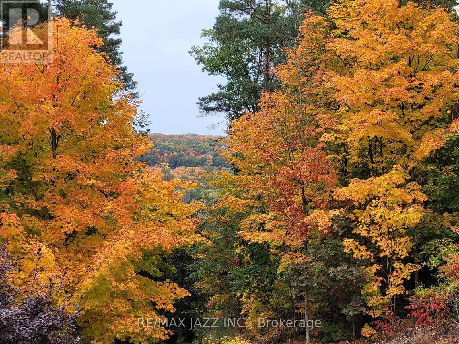 149 WHITES ROAD Image 36