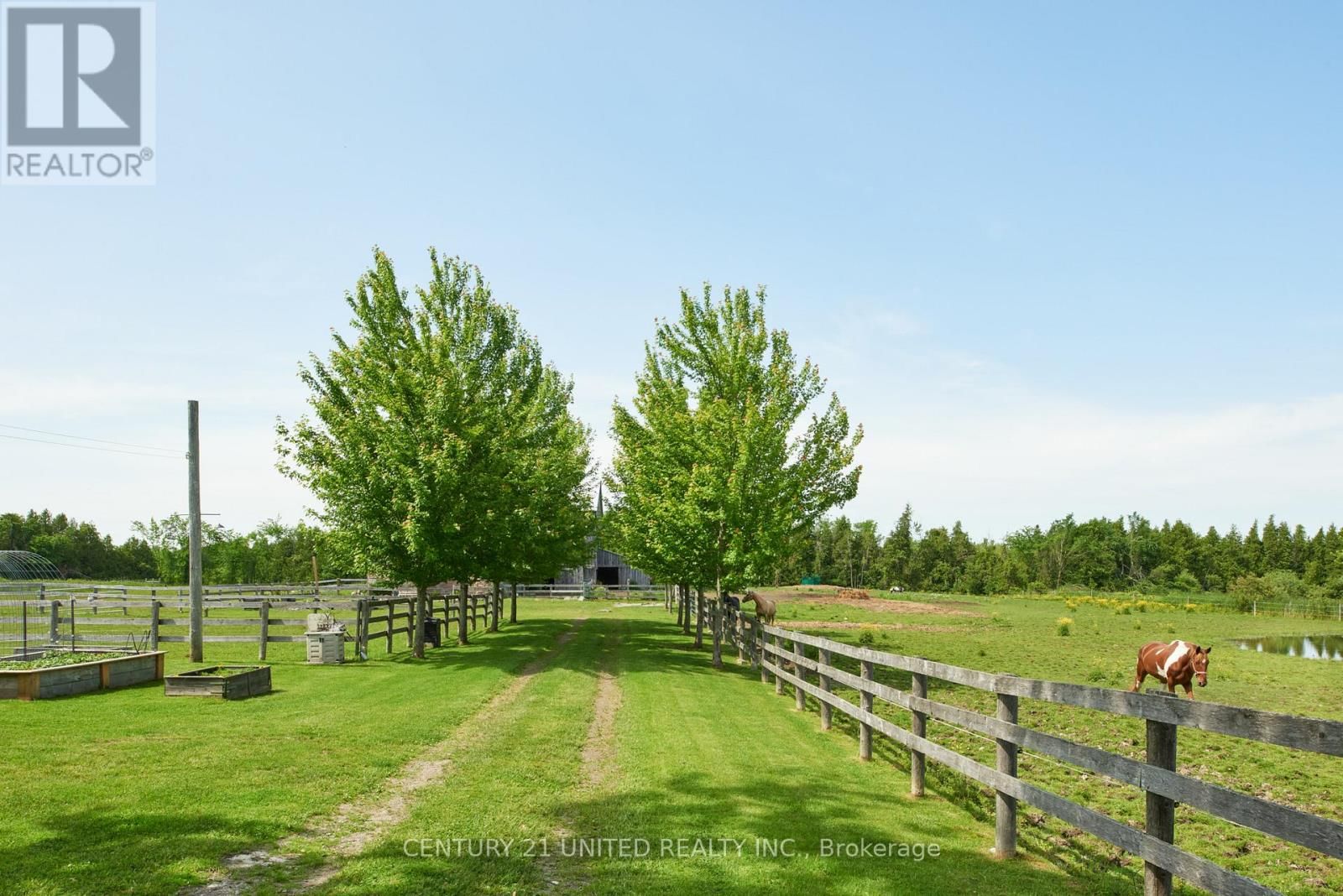 1662 11TH LINE Image 38