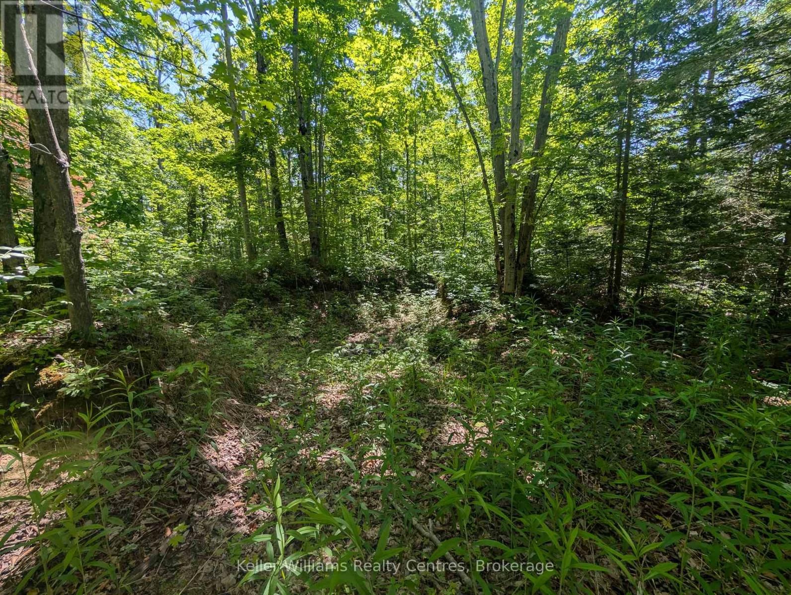 590-608 HURON ROAD Image 18