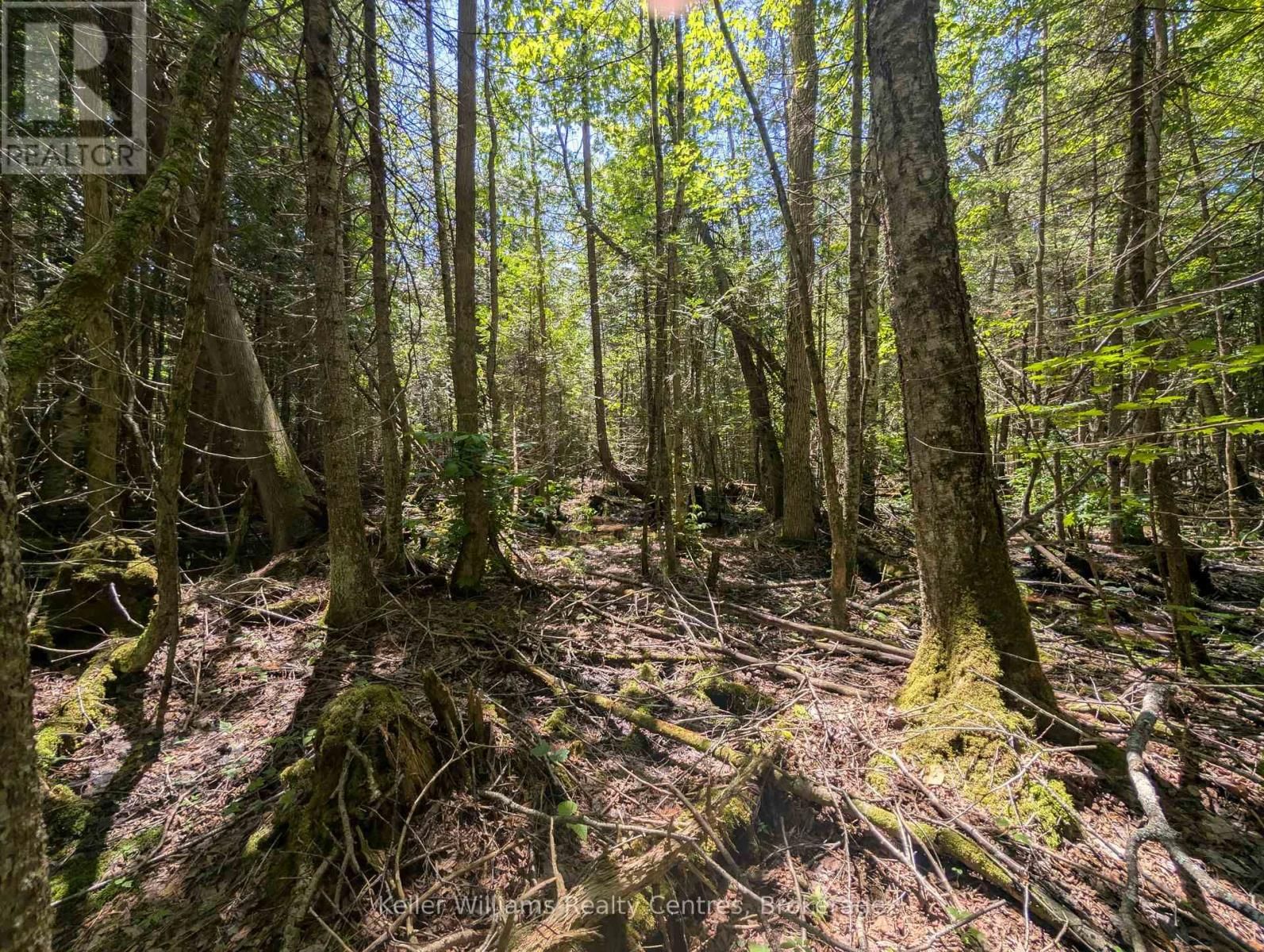 590-608 HURON ROAD Image 48