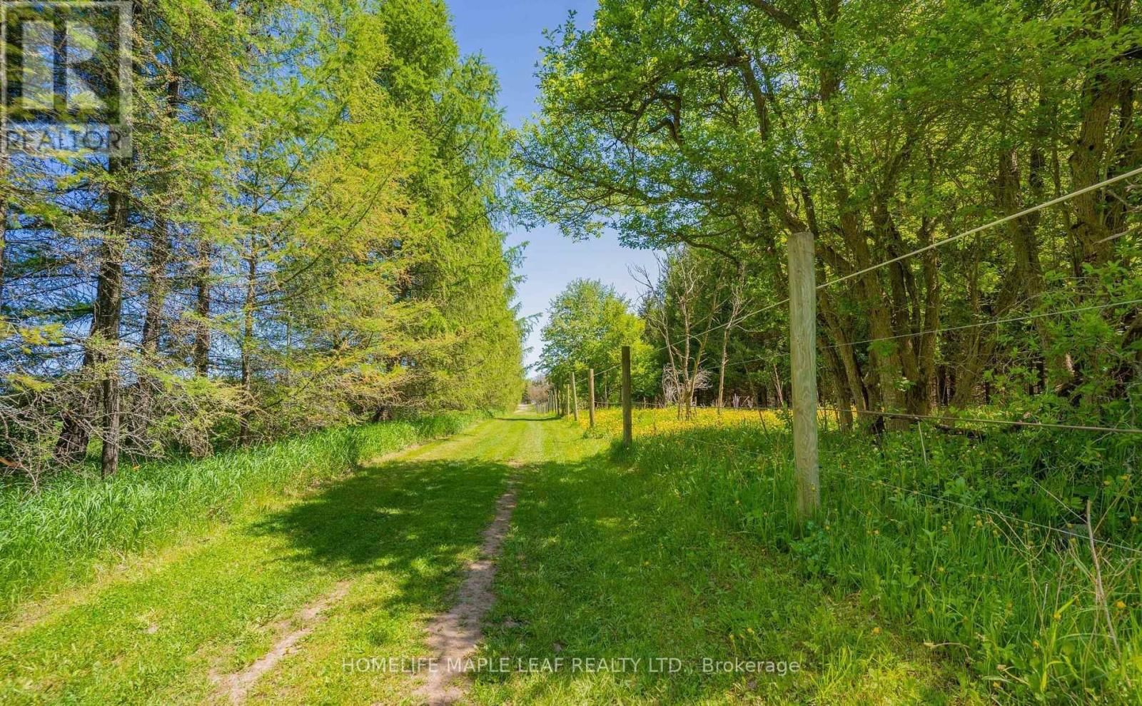 111440 11TH LINE Image 30