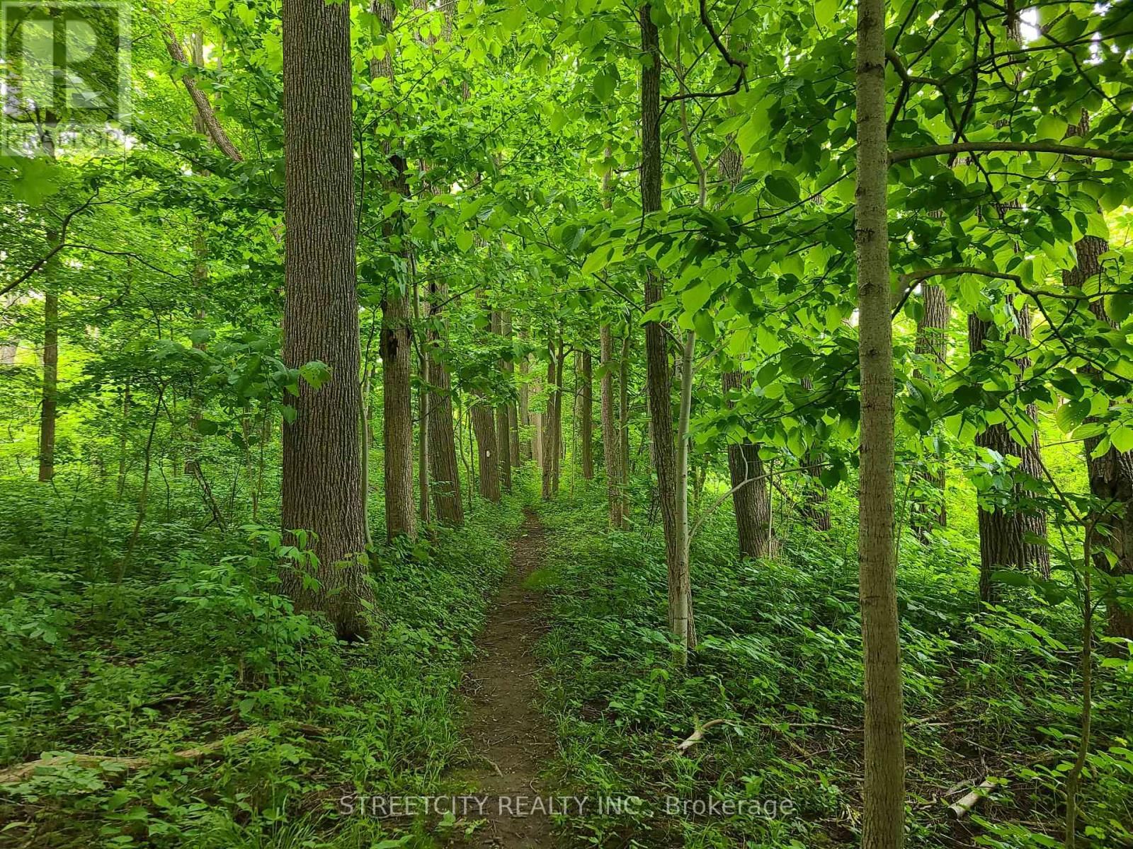 38803 TALBOT LINE Image 9