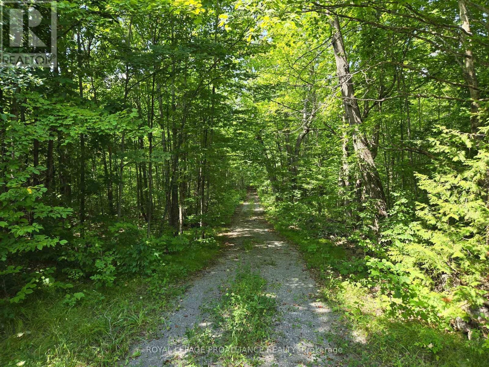 2201 MONEYMORE ROAD Image 35