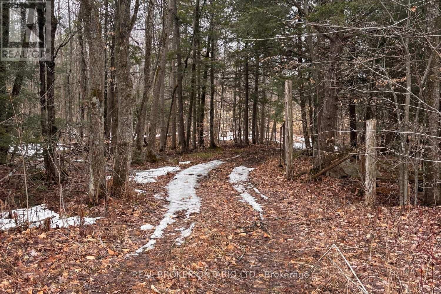 000 DUKELOW ROAD Image 1