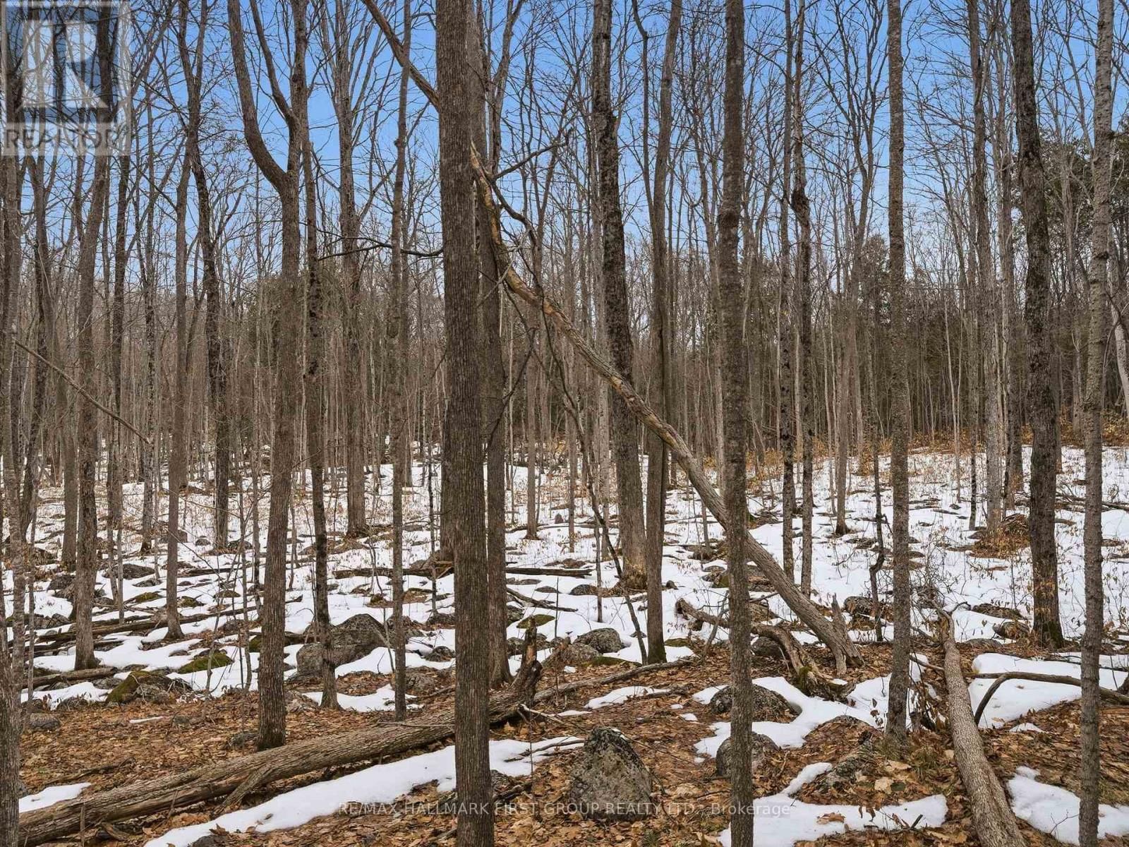 Pt Lt 34 DENNISON ROAD Image 20