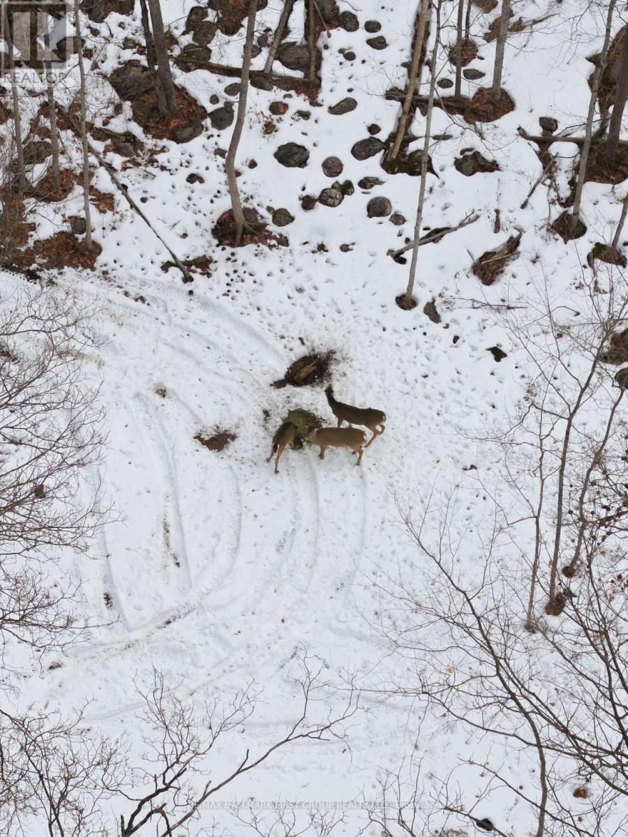 Pt Lt 34 DENNISON ROAD Image 38