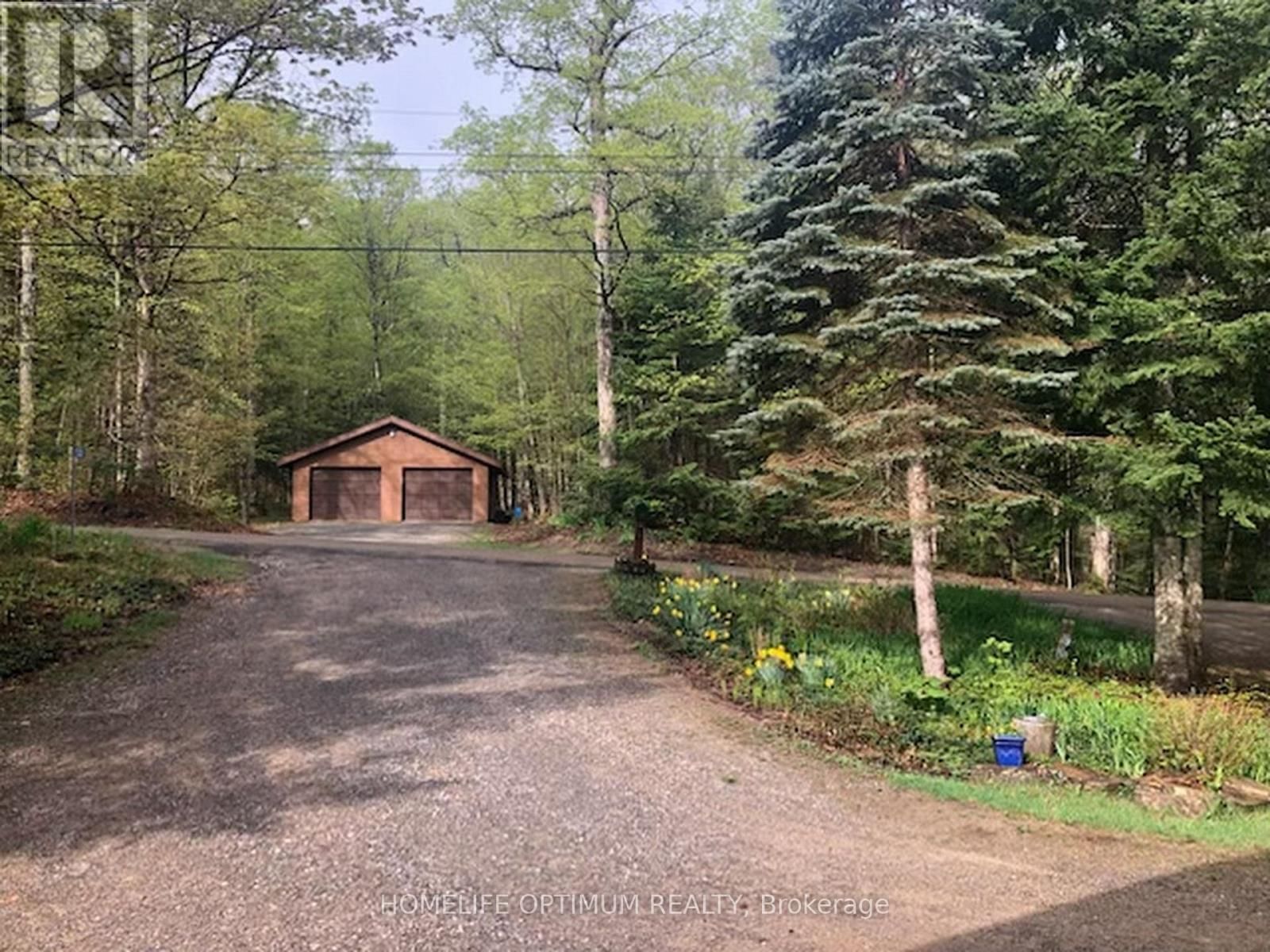 1130 ALGONQUIN OUTFITTERS ROAD Image 11