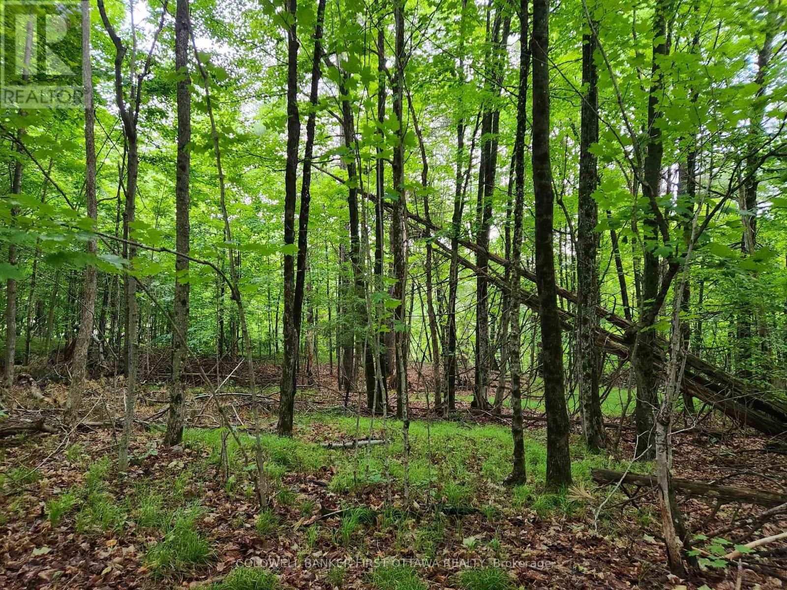 408 DORAN ROAD Image 15