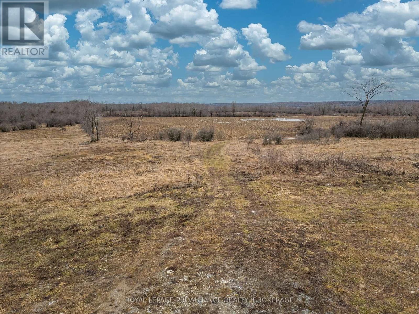 PT LT 37 MCGARVEY ROAD Image 15