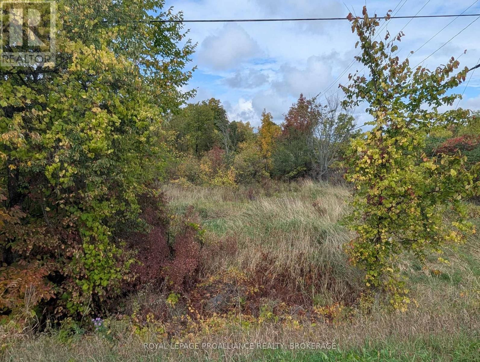 Lot 34 LEO LAKE ROAD Image 9