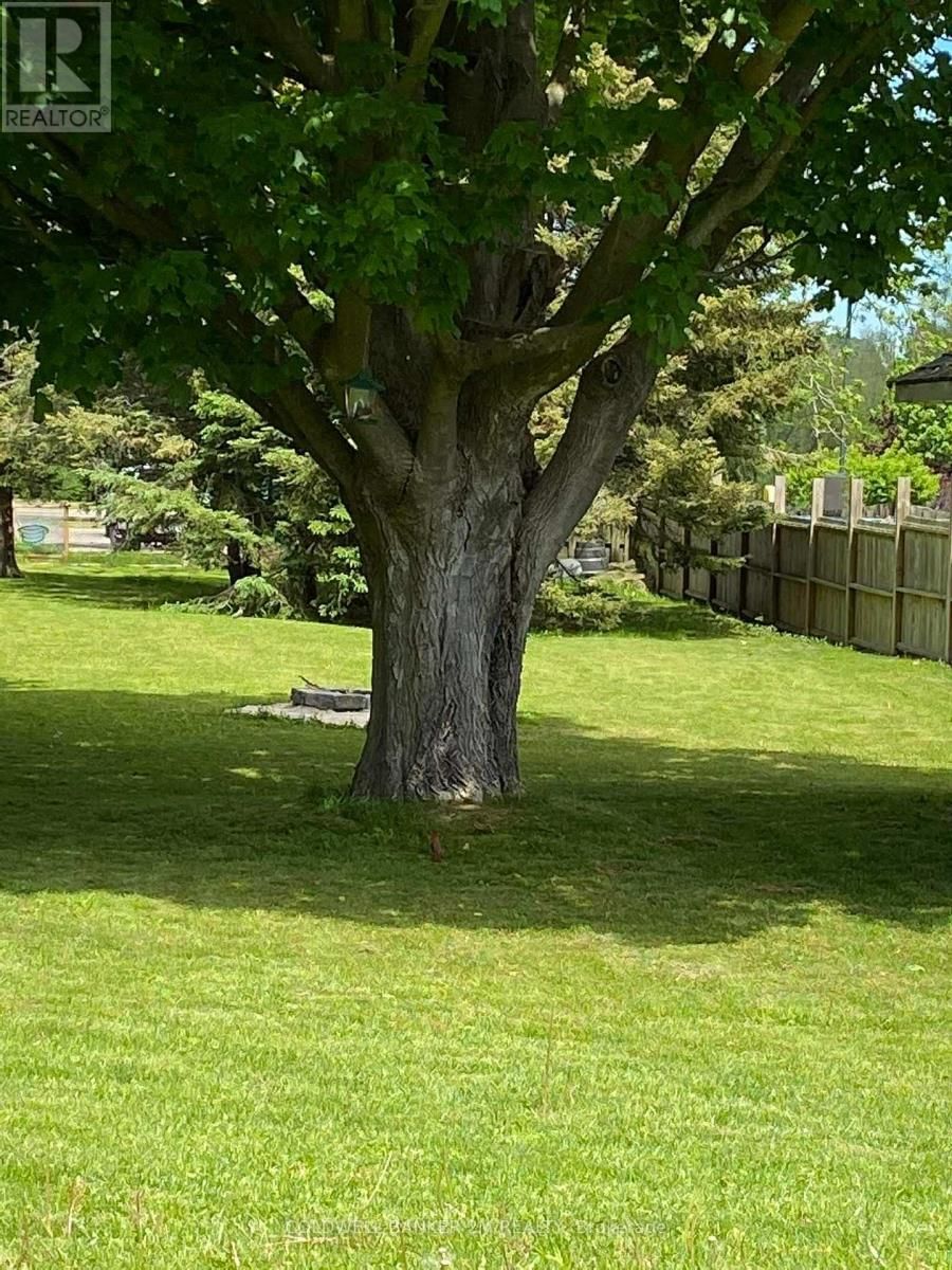 812 BURNHAM STREET Image 43