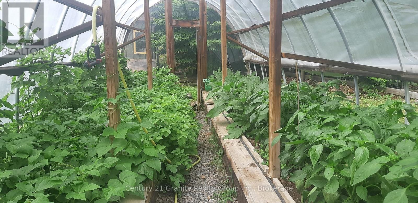 1071 DARDANELLES ROAD Image 35