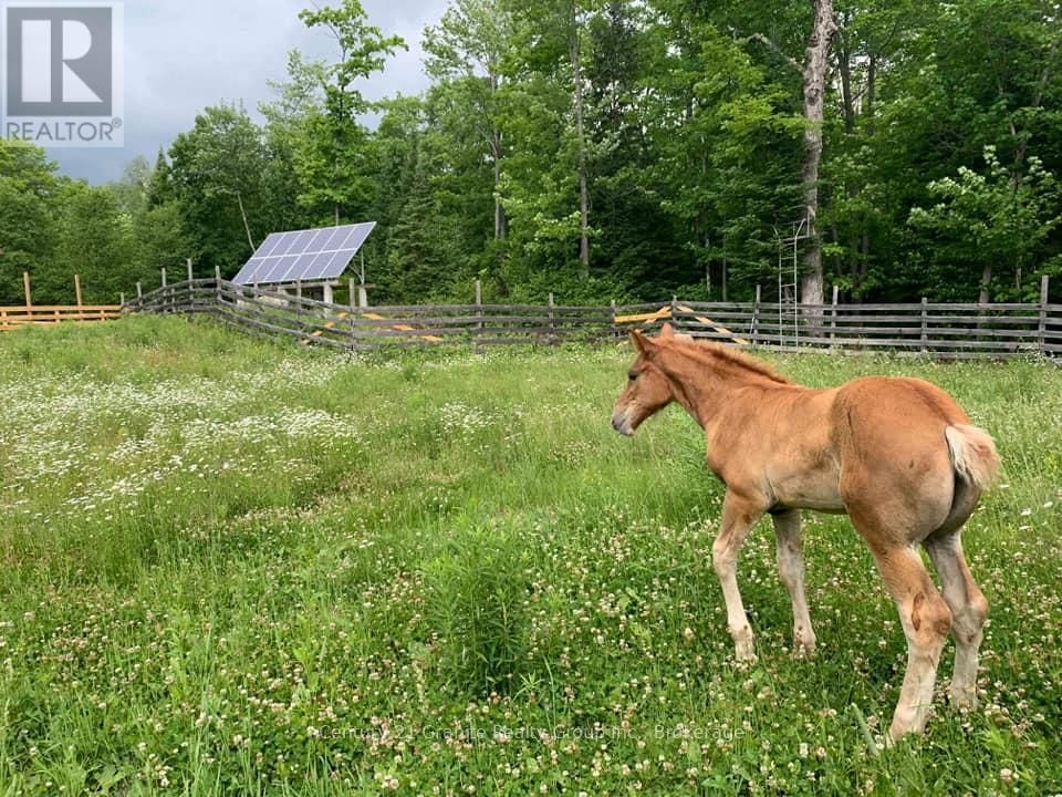 1071 DARDANELLES ROAD Image 45