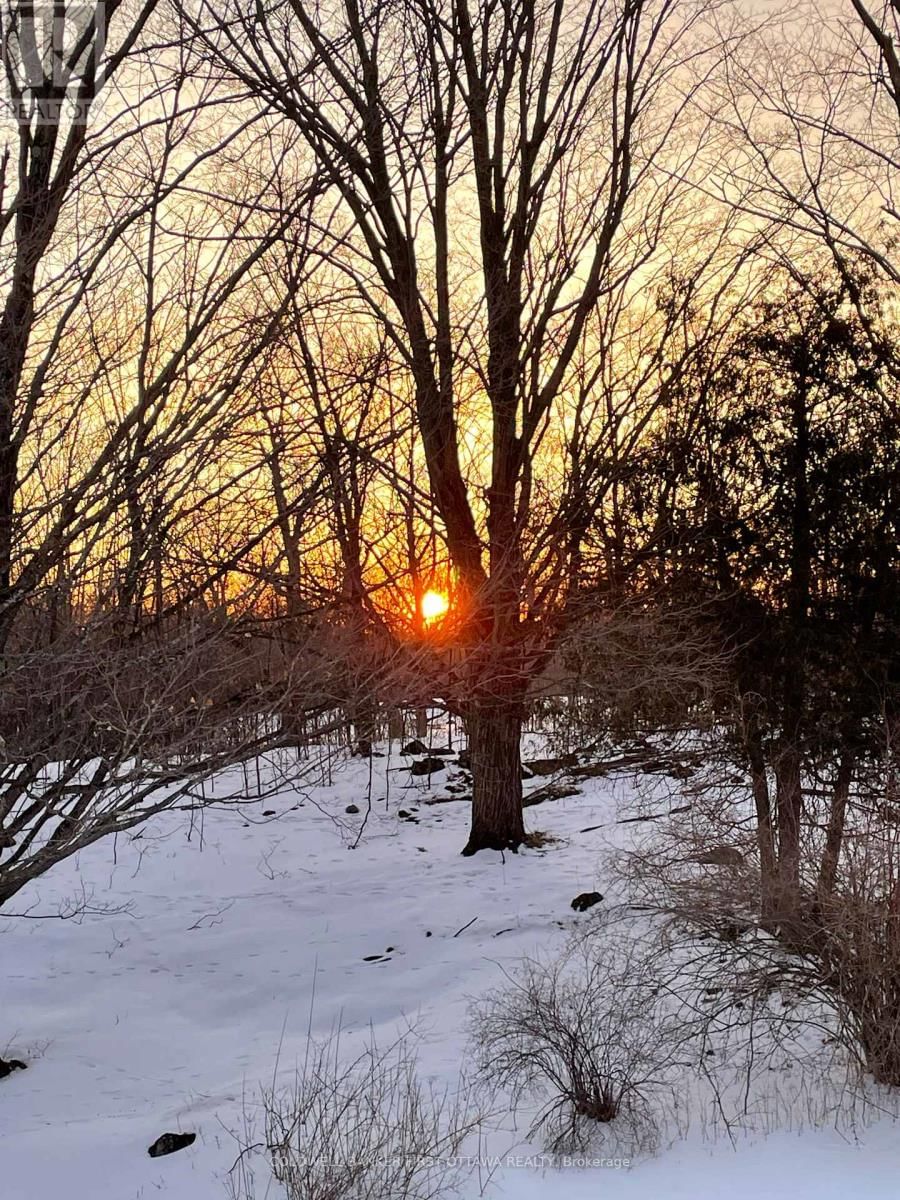 2511 CONCESSION 10C Image 41