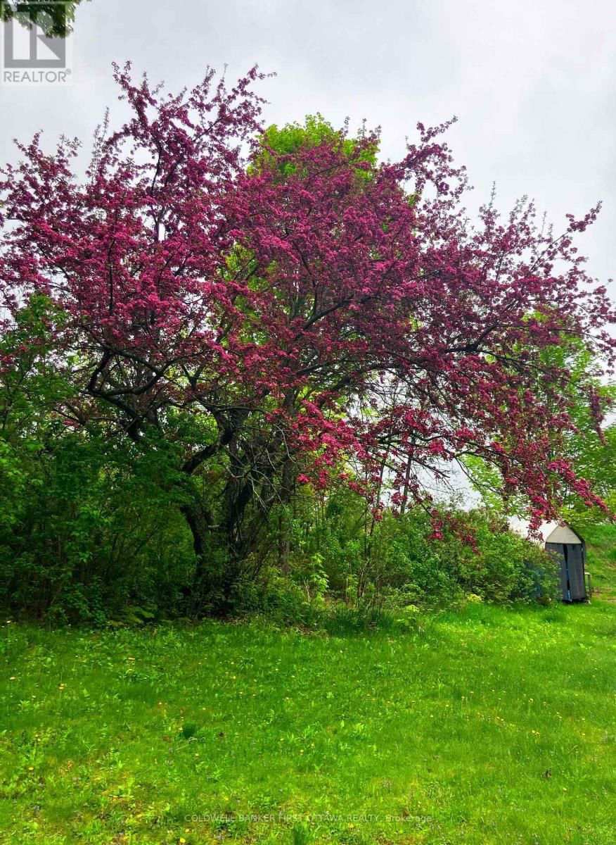 2511 CONCESSION 10C Image 44