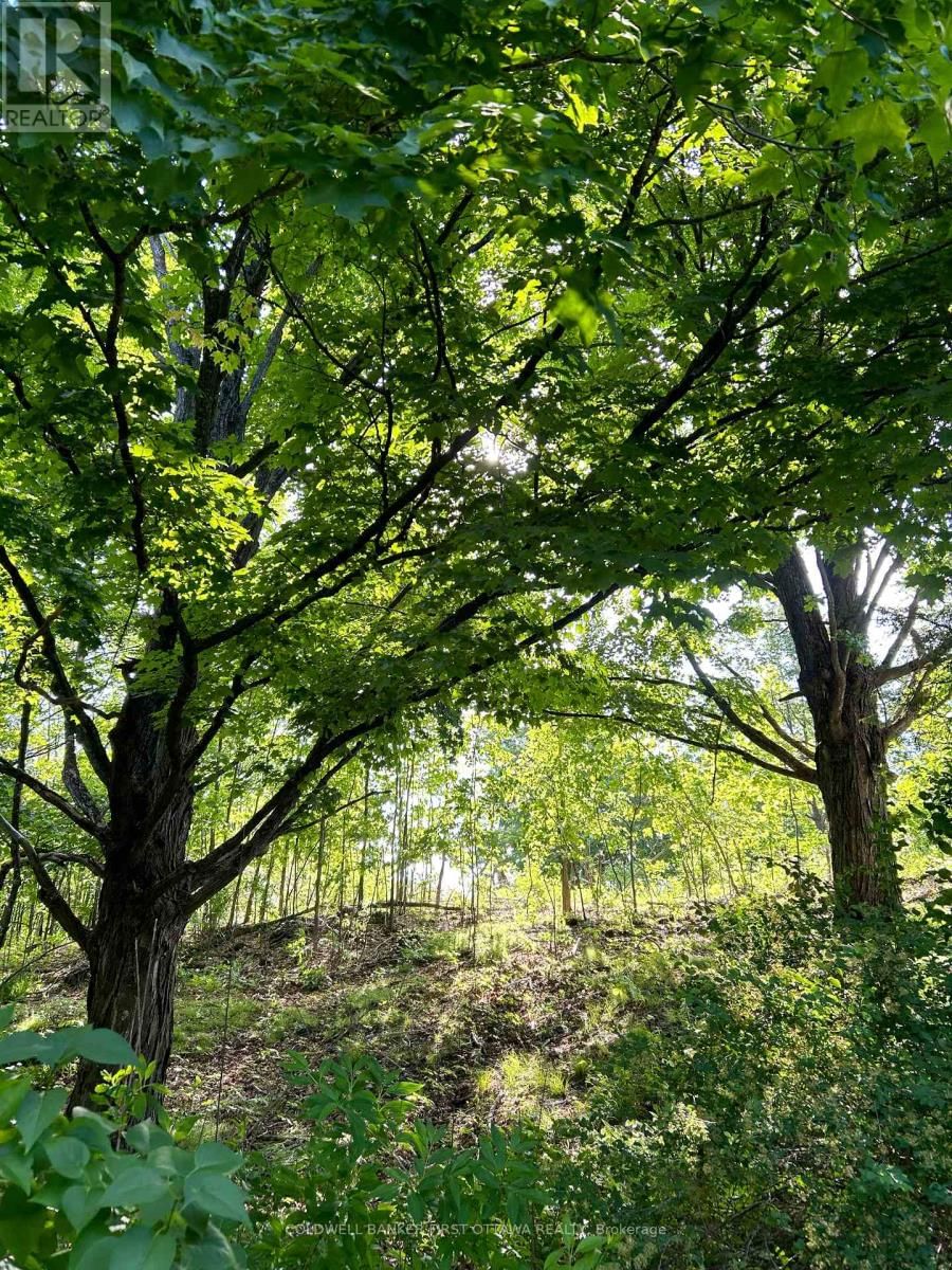 2511 CONCESSION 10C Image 45