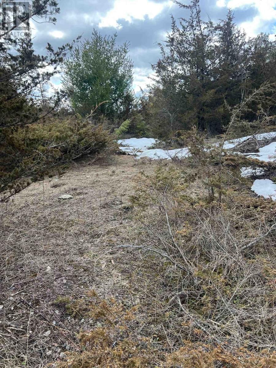 00 N. DUMMER 7TH LINE ROAD Image 17