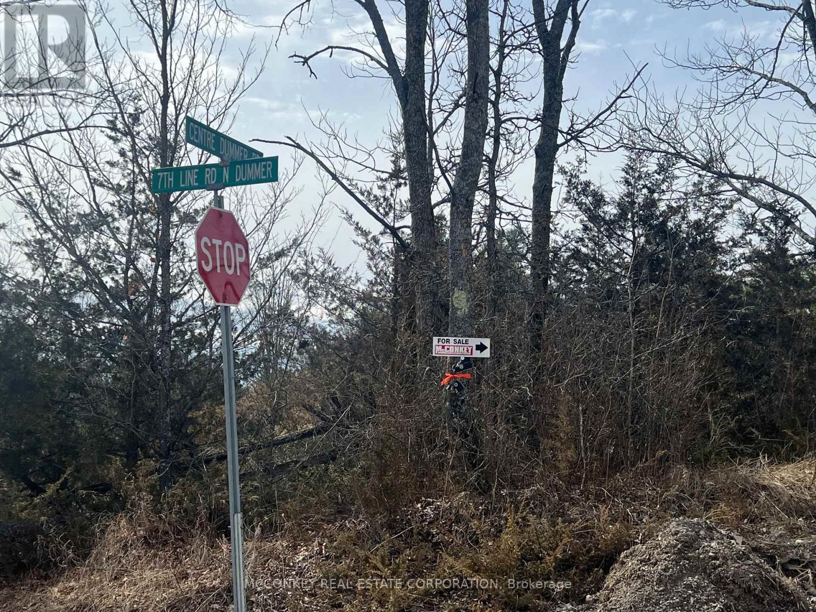 00 N. DUMMER 7TH LINE ROAD Image 6