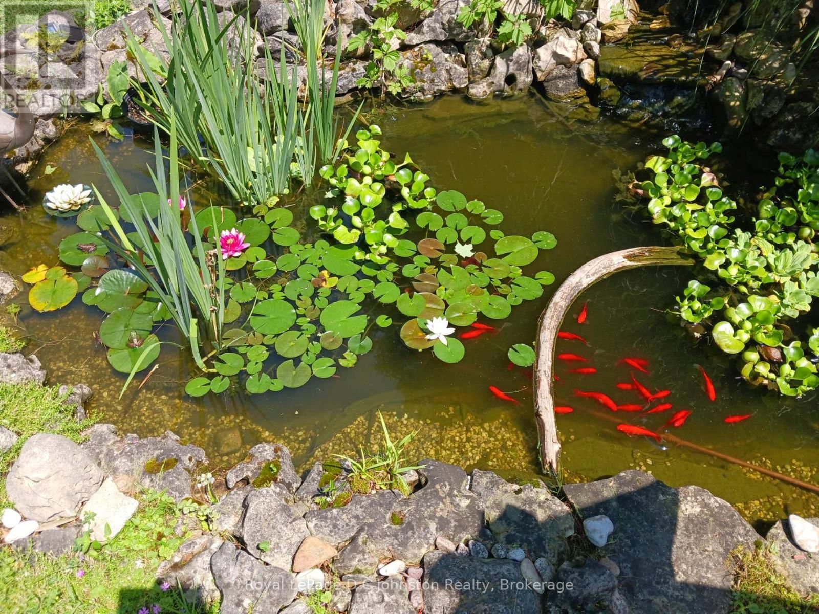 121 EDWARD STREET Image 26