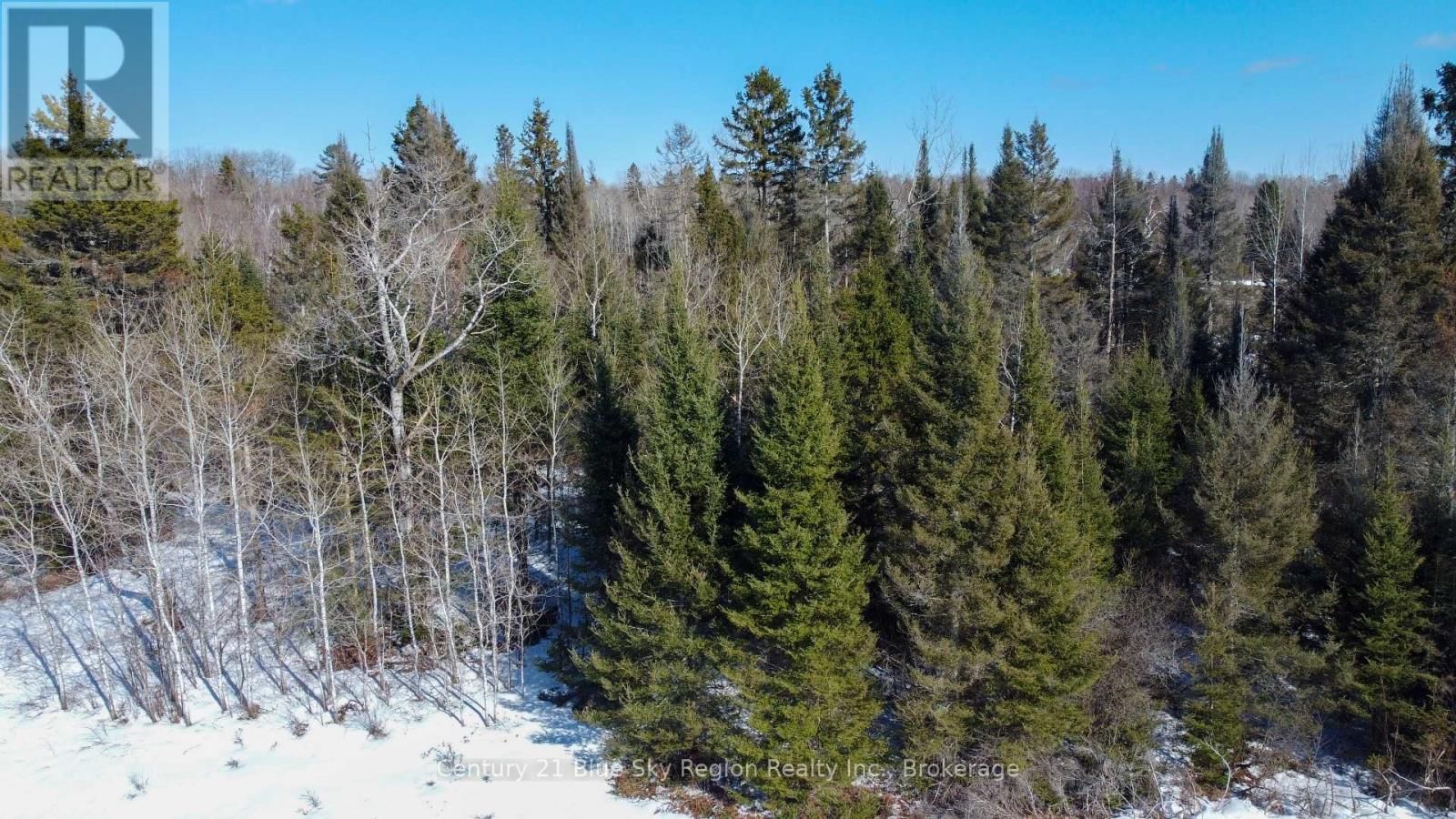 1255 CORBEIL ROAD Image 6