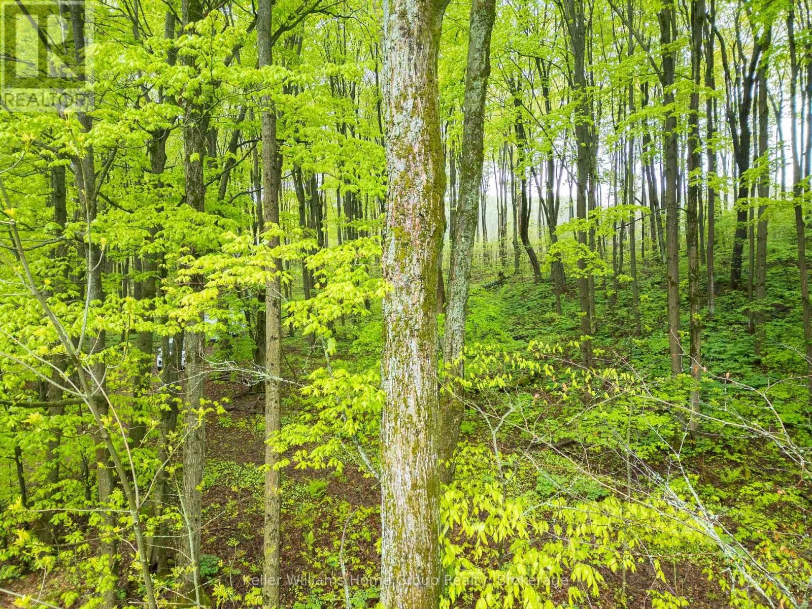 PT LT 6 BASELINE ROAD Image 11