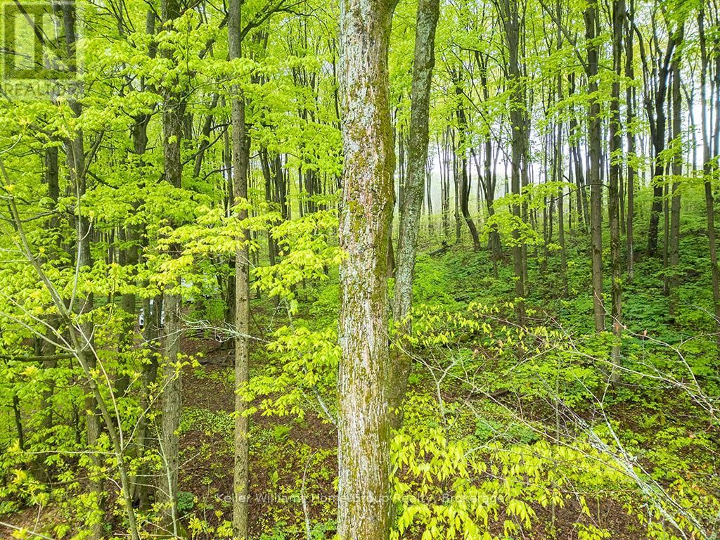 PT LT 6 BASELINE ROAD Image 21