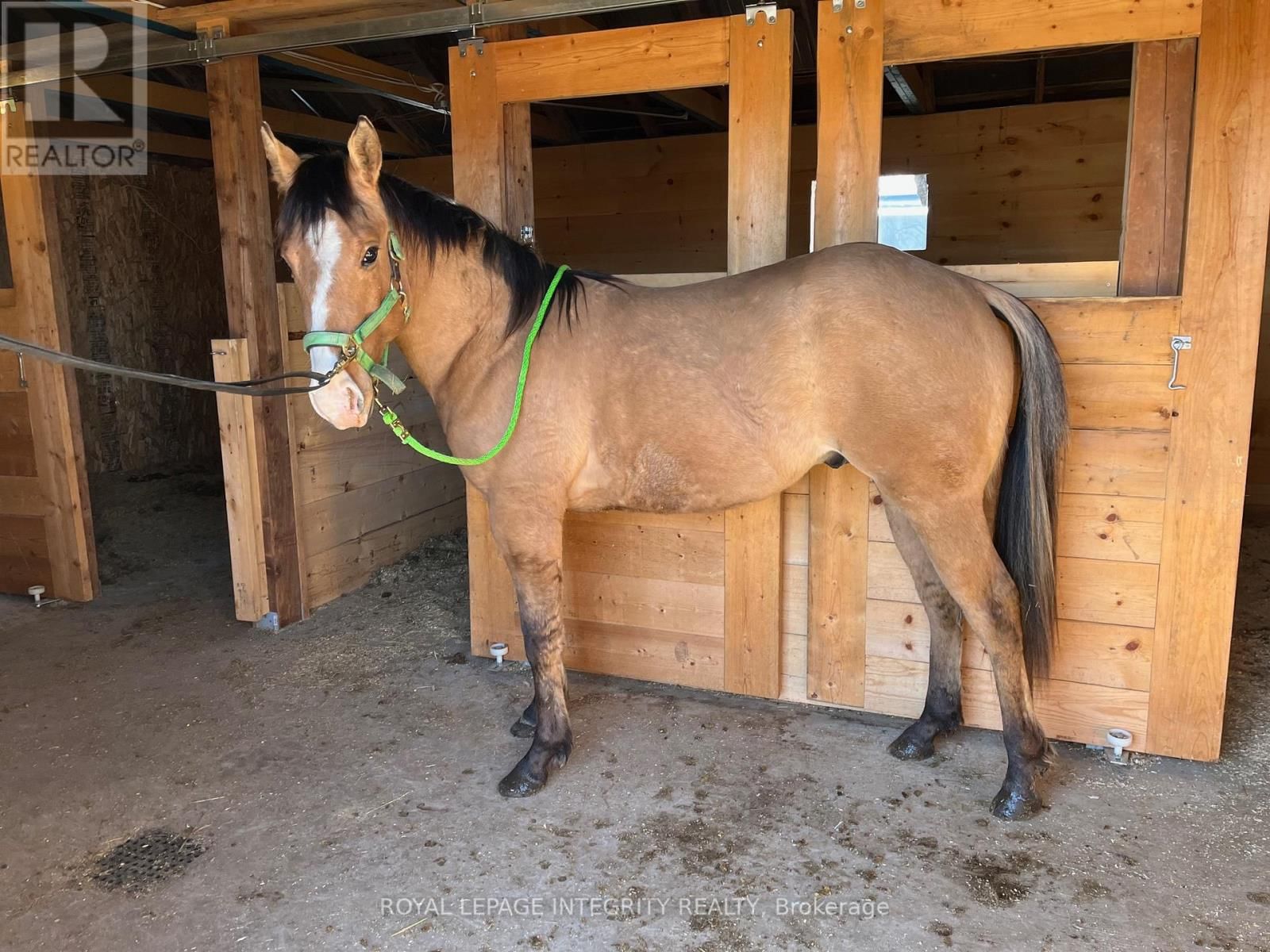 210 WAYSIDE DRIVE Image 39