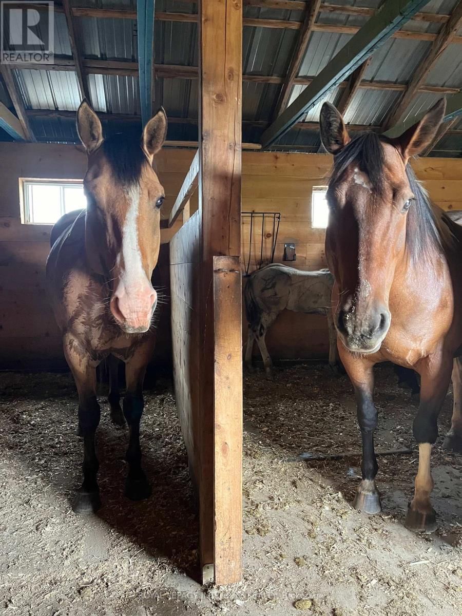 210 WAYSIDE DRIVE Image 41