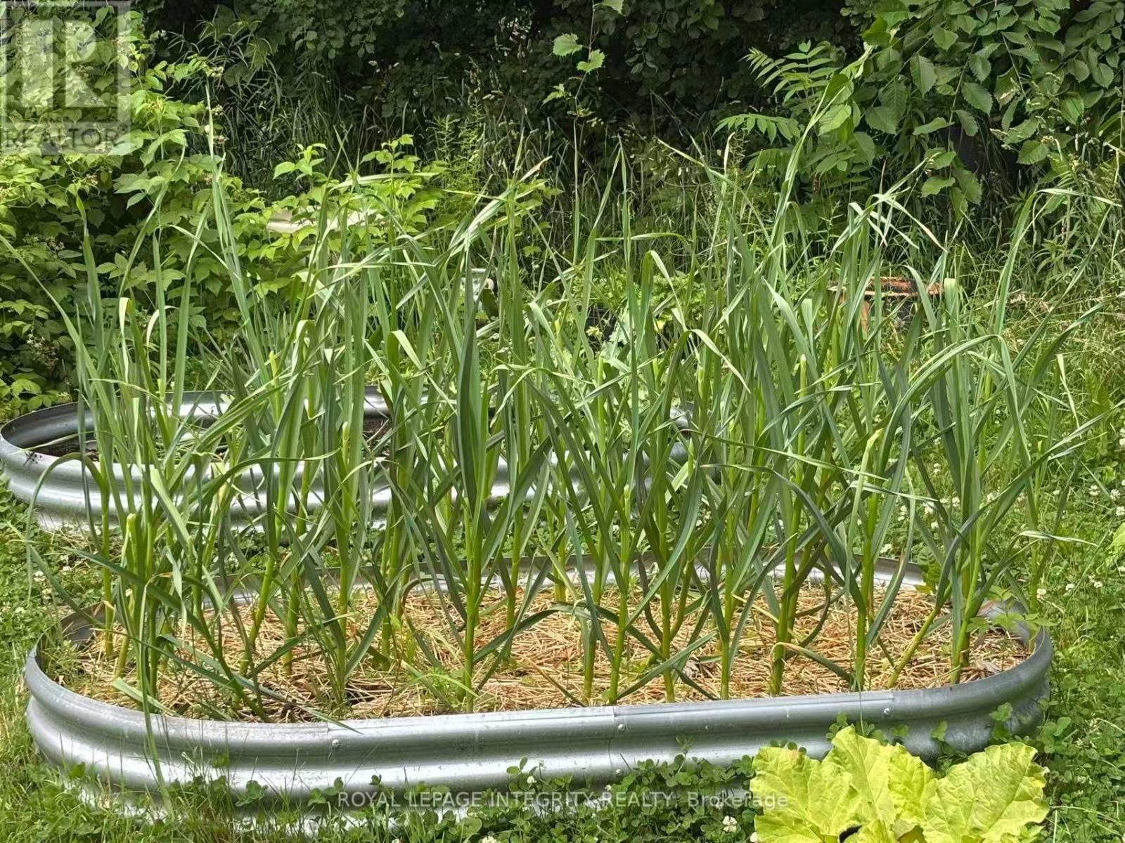 3976 CARP ROAD Image 42