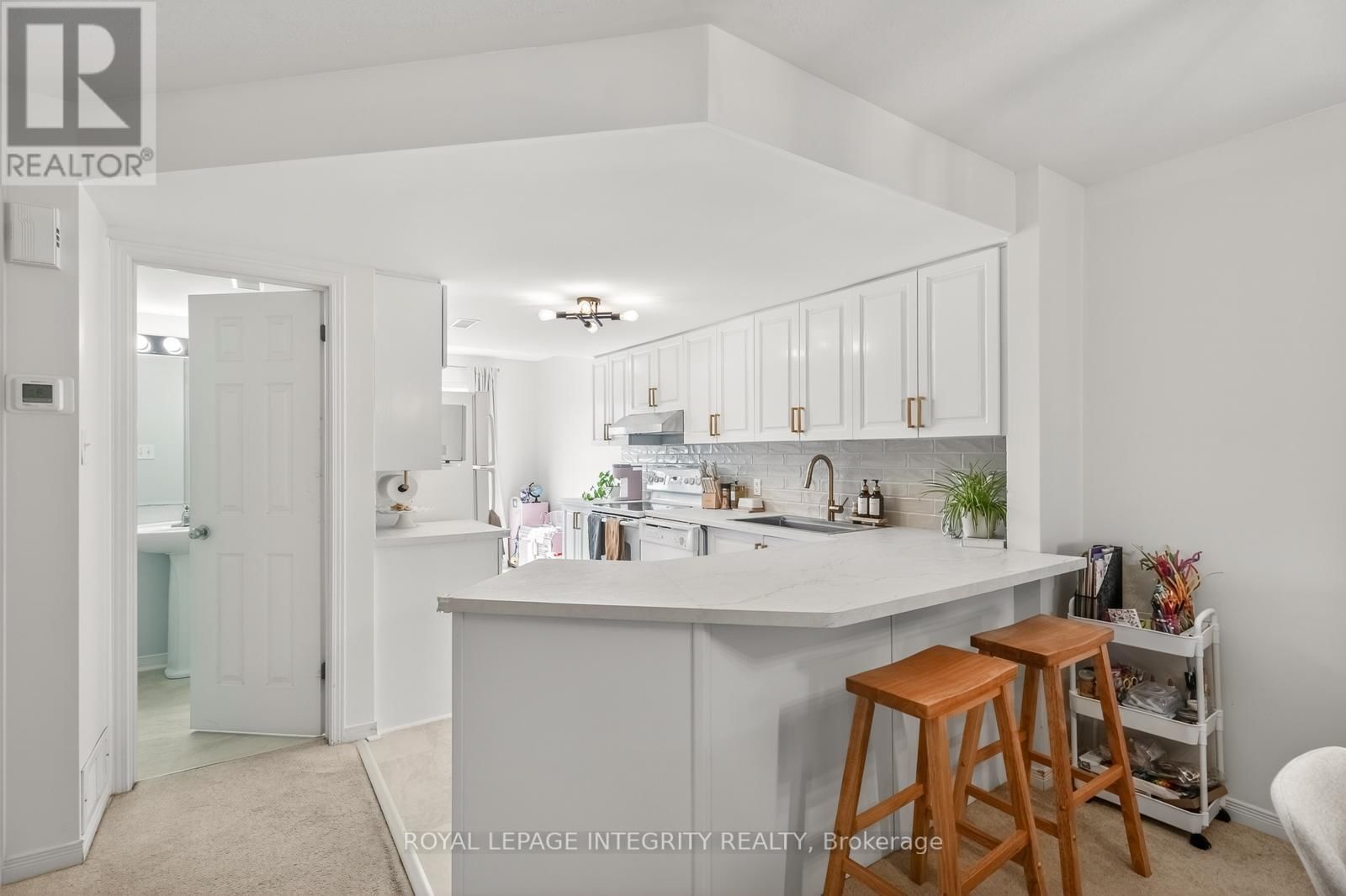 258 CHAPMAN MILLS DRIVE Image 9