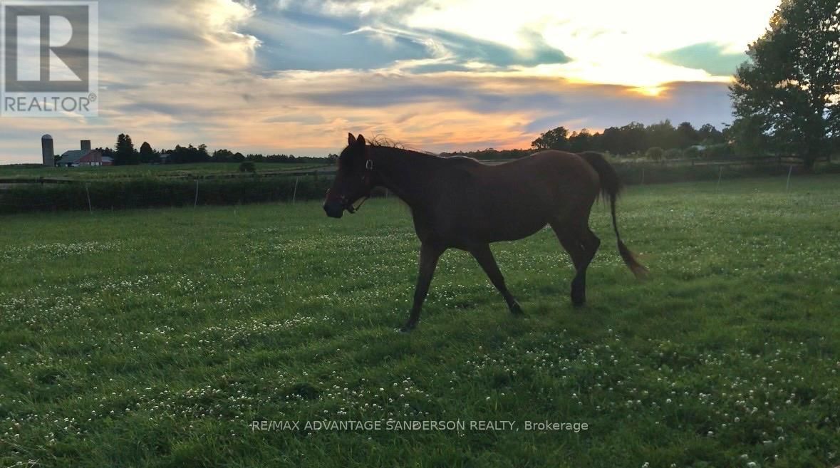 21727 VANNECK ROAD Image 50