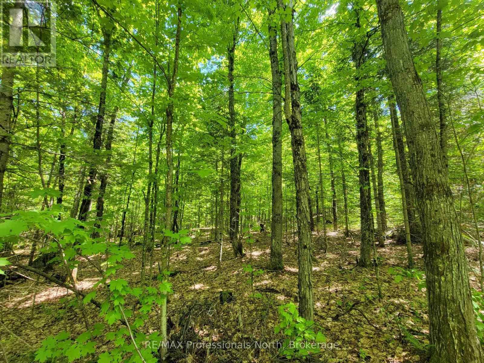 0 DUFFERIN STREET Image 12