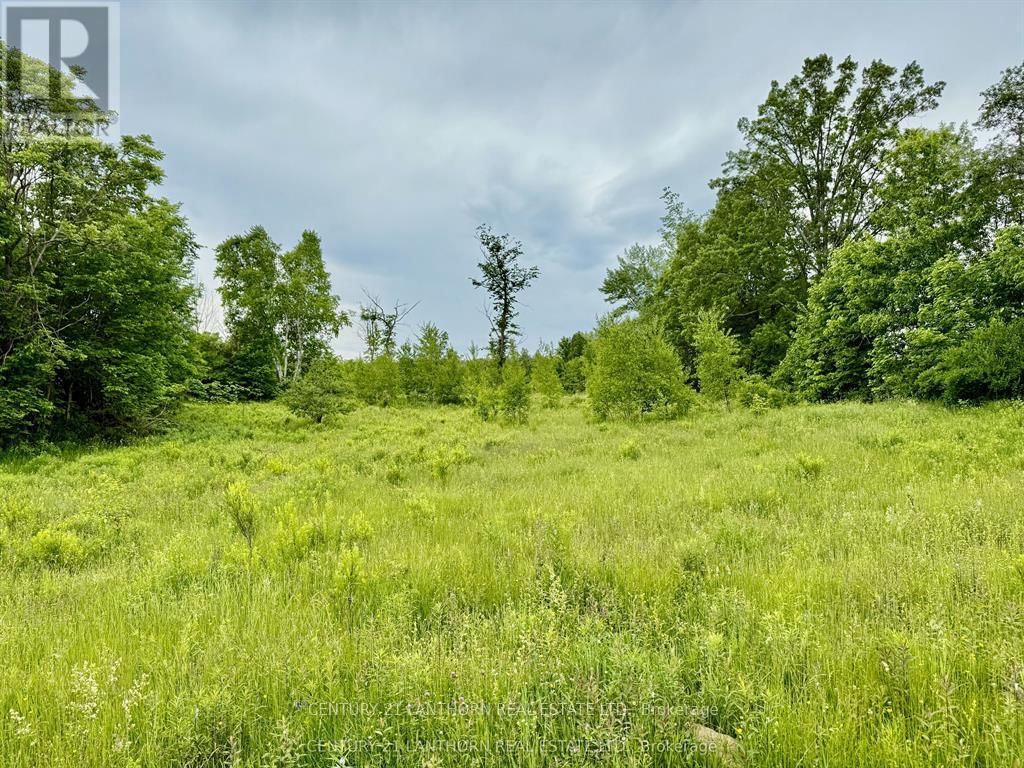 00 COOPER ROAD Image 6