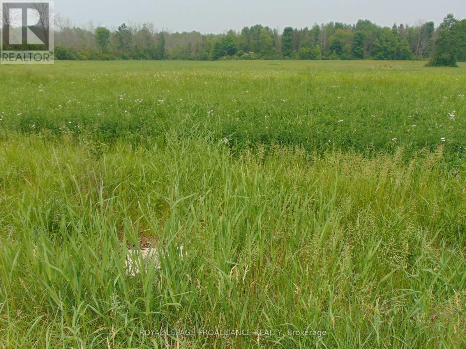 00 CHARLEVILLE ROAD NORTH Image 1