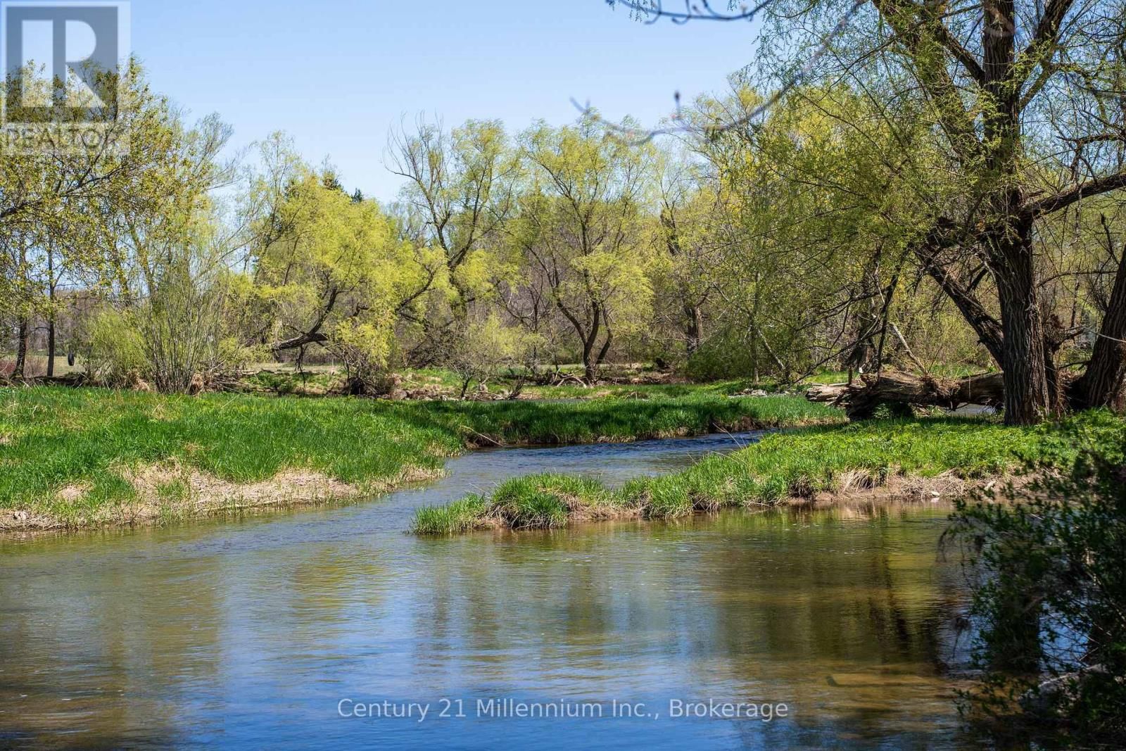 142 MILL STREET Image 5